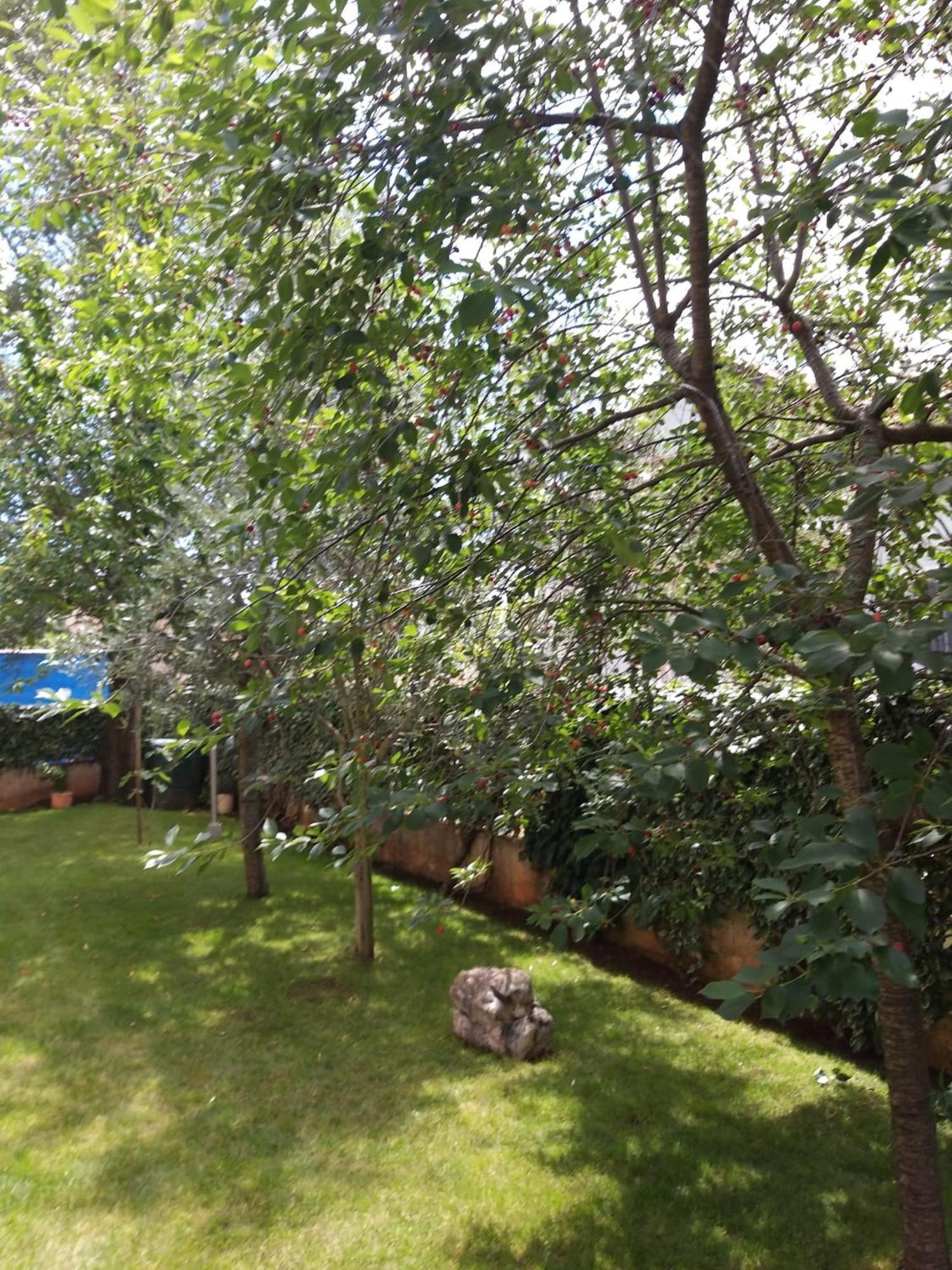 Apartmani Anita Malinska Exterior photo